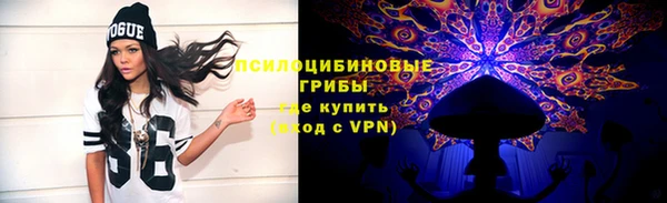 мдпв Костерёво