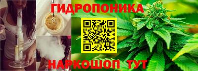 прущие крисы Владимир