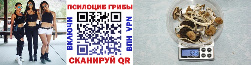 наркота  Астрахань  Галлюциногенные грибы Cubensis 