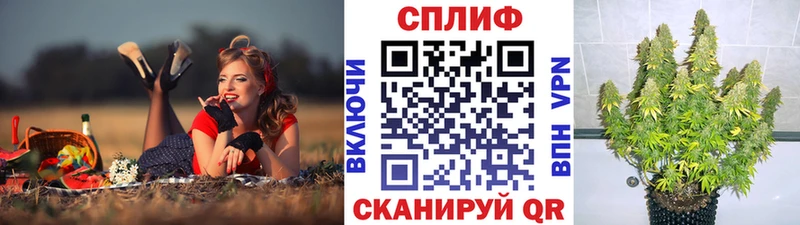 гидра ТОР  Астрахань  Шишки марихуана THC 21%  цена наркотик 
